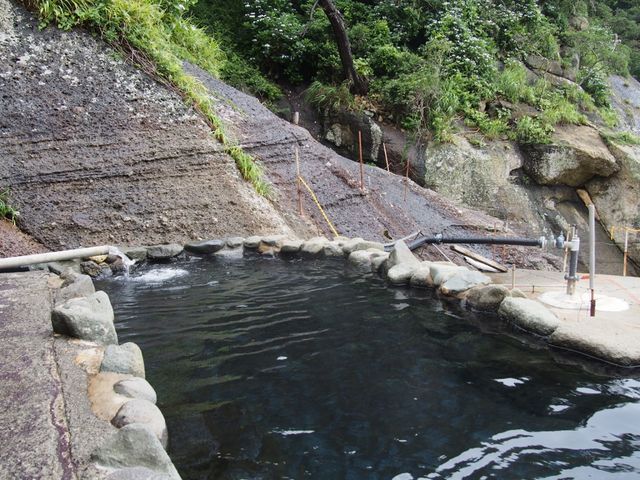 温泉掛け流しと山側の紫陽花_雲見温泉露天風呂