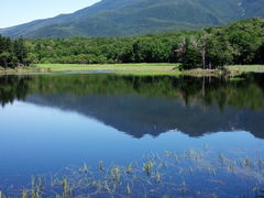 知床五湖の写真1