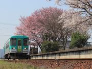 tuch7さんの北条鉄道の投稿写真1