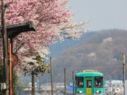 tuch7さんの北条鉄道の投稿写真2