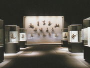 しどーさんの鳳翔館の投稿写真1