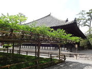 しどーさんの平等院のふじの投稿写真1