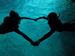 あゆみさんのダイブドラゴンへの投稿写真1