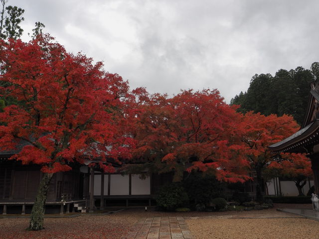 天徳院_天徳院