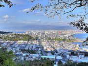 レガシィさんの立待岬の投稿写真2