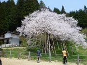 トムコナーズさんの臥龍公園の投稿写真1