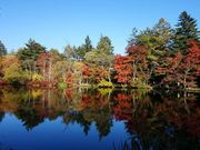 にゃんチューさんの雲場池の投稿写真2