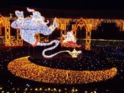 舞湖さんの神戸ホテルフルーツ フラワーの投稿写真1