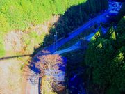 ルパン7777777さんのかりがね橋の投稿写真4