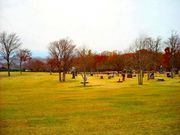 ジョンさんの東御中央公園芝生広場の投稿写真1