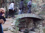 むらさんさんの白馬渓の投稿写真1