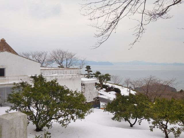 水俣の不知火湾を臨む40年ぶりの雪模様@_福田農場