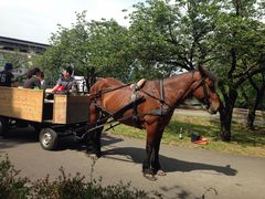伊香保グリーン牧場の写真2