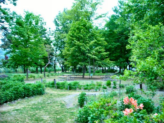 ドラさんの国分寺史跡公園の投稿写真1