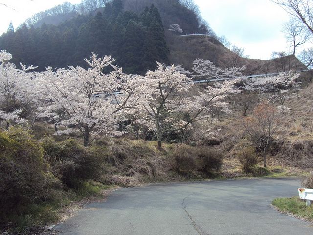 道路わきに_高森峠の九十九曲り