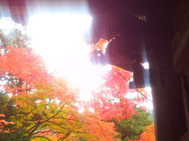 大窪寺