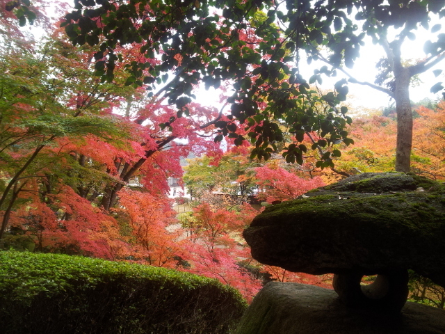 大窪寺