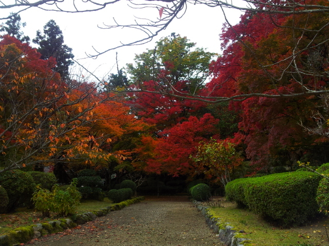 大窪寺