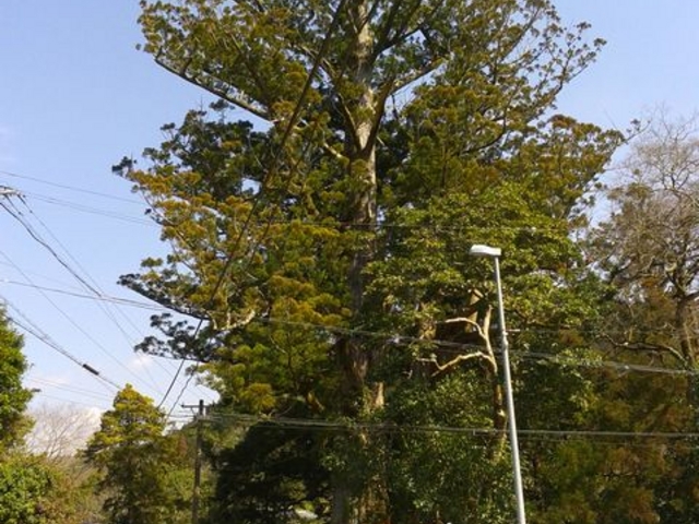 サブさんの獅子ヶ鼻公園巨岩(獅子ヶ鼻)の投稿写真1