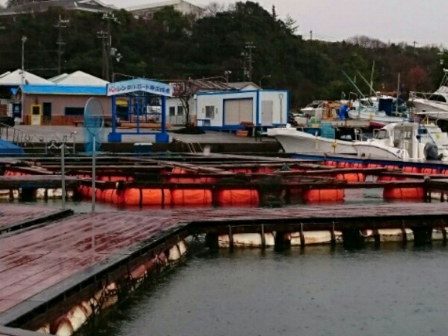 釣堀_海上釣堀まるちょう