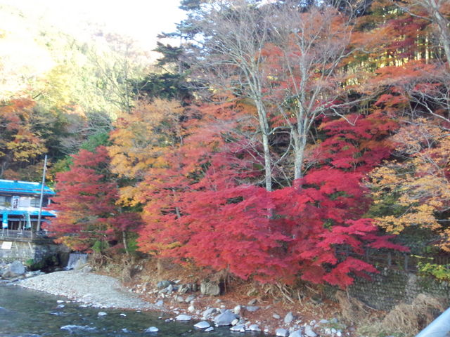 美しい紅葉_塩原もの語り館