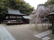 アップ59さんの荒見神社の投稿写真1