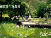 藍さんの横須賀市立しょうぶ園のハナショウブの投稿写真1