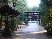 ひろっぽんさんの交野天神社の投稿写真1