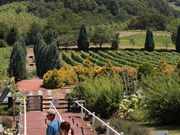 よっぴいさんのサントリー登美の丘ワイナリーの投稿写真1