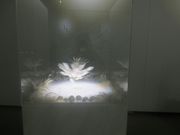 やゆたんさんの新潟市新津美術館の投稿写真1