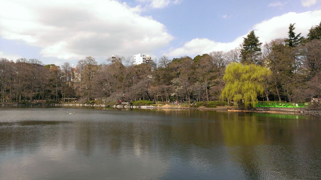 井の頭恩賜公園