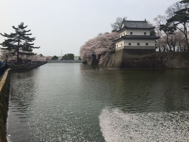 花見の時期_新発田城