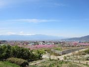 chocoさんのみさか桃源郷公園の投稿写真1