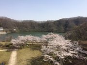ねえさんさんの樽水ダムの投稿写真1