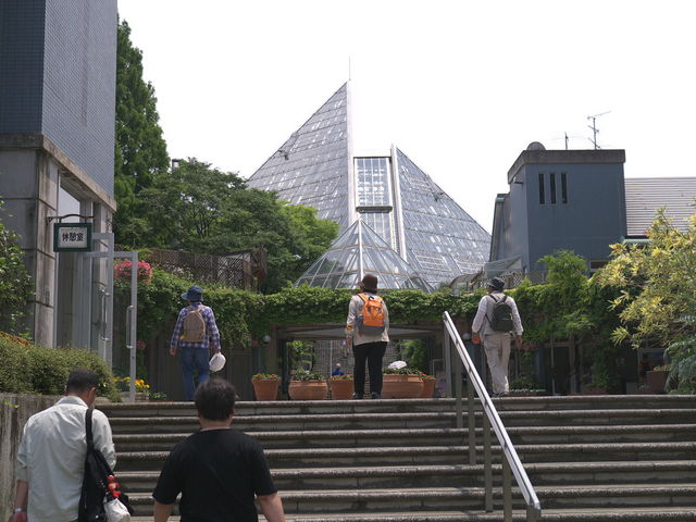 花の文化園_大阪府立 花の文化園