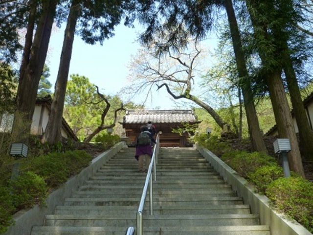 鶴亀松竹梅扇さんの古城緑地広場の投稿写真3
