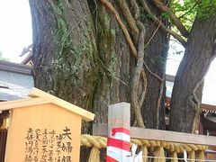 櫛田神社の写真1