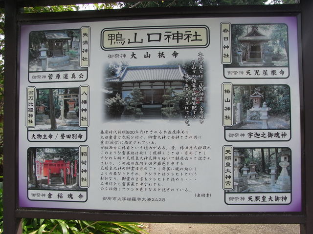 やんまあさんの鴨山口神社の投稿写真1