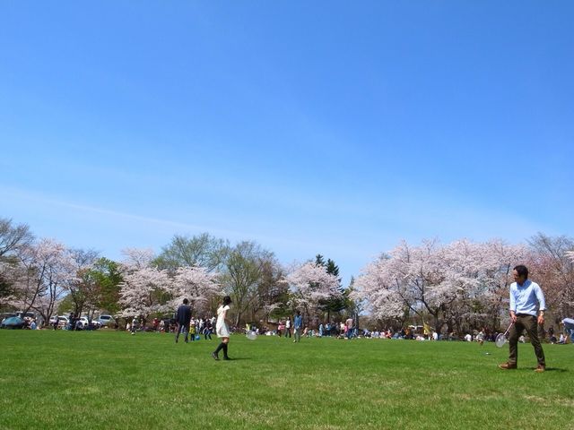 レジャーシートをひいてお花見を楽しんでる人が多いです。後お墓まいりのついでに等_戸田記念墓地公園
