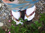 ジョジョたんさんの下呂温泉合掌村着物体験の投稿写真2