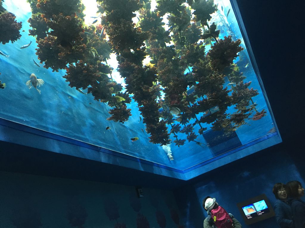 仙台うみの杜水族館