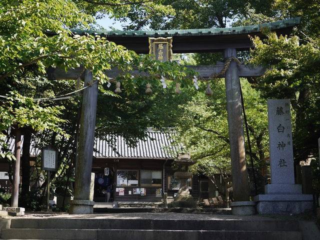 藤白神社_藤白神社
