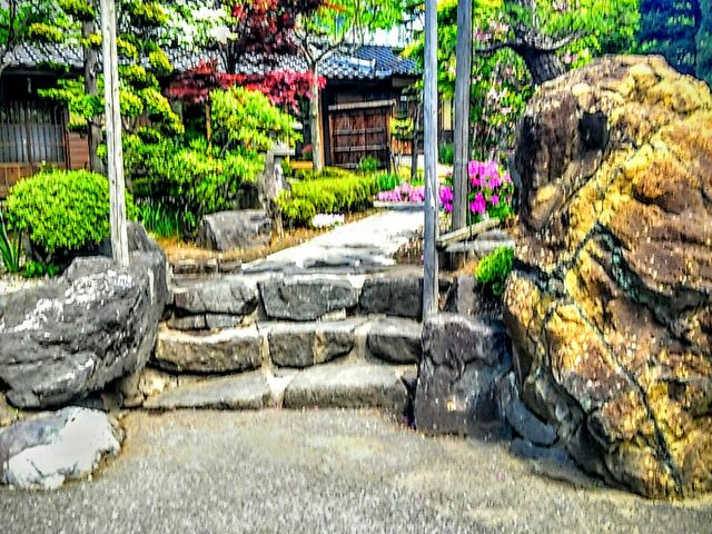 個室_四季の里