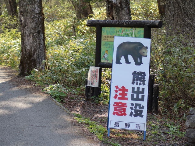リアルです!_戸隠森林植物園