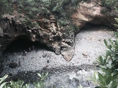 クーロンさんの龍宮窟への投稿写真1