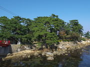 sklfhさんの津神島公園の投稿写真1