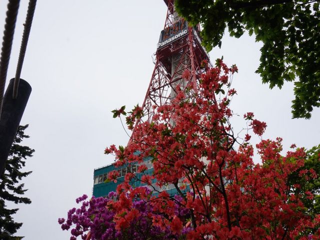 さっぽろテレビ塔