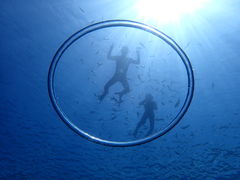 ひろさんのB-natureへの投稿写真1