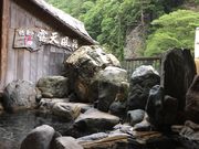 ニャンタさんの立久恵峡温泉の投稿写真1