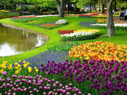 こたぴさんの国営昭和記念公園の投稿写真2